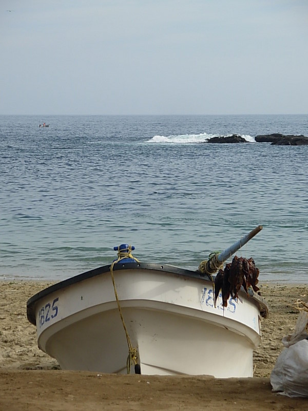 Foto de Horcon, Chile