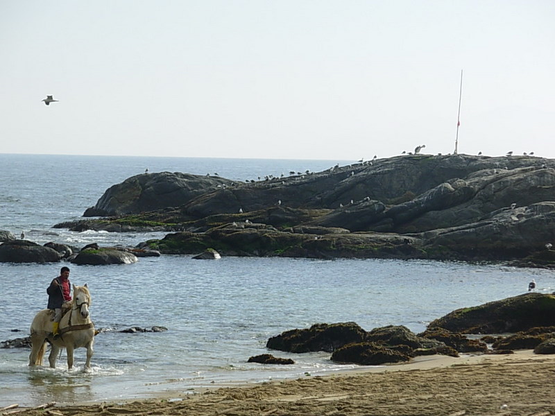 Foto de Horcon, Chile