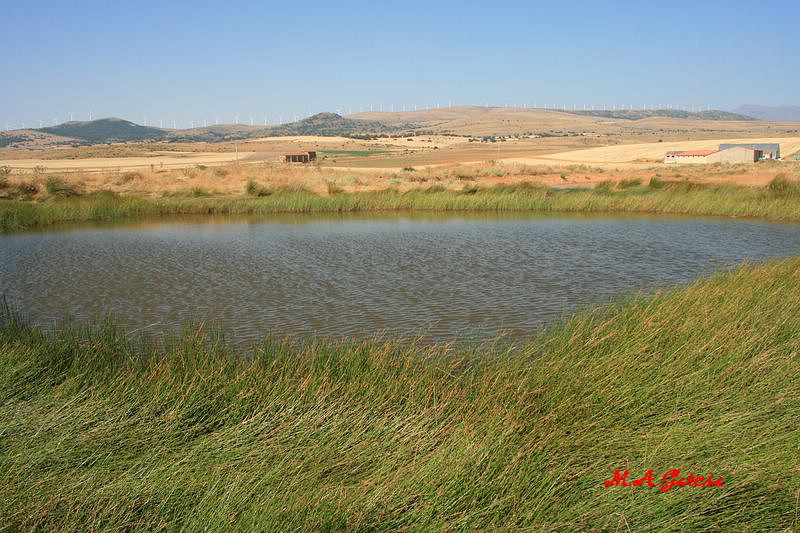 Foto de Noviercas (Soria), España