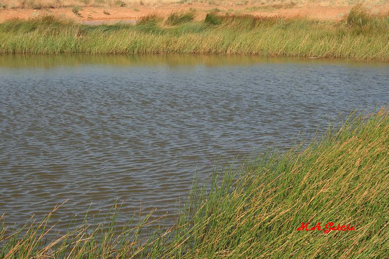 Foto de Noviercas (Soria), España