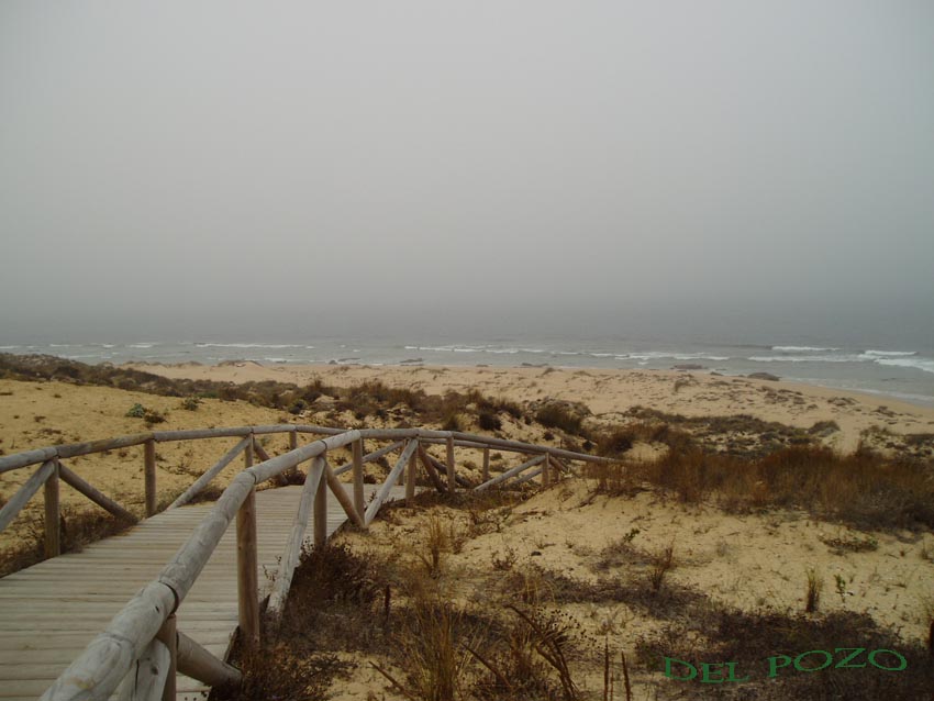 Foto de Barbate (Cádiz), España