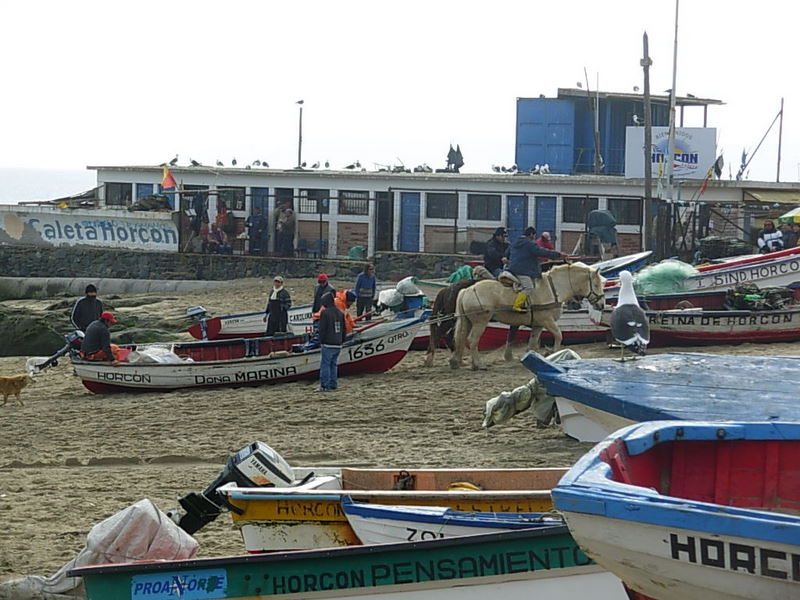 Foto de Horcon, Chile