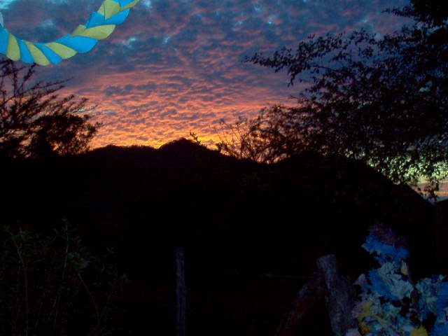 Foto de Jicaro Galan, Honduras