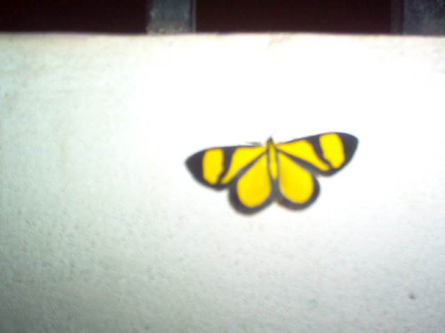 Foto de Tegucigalpa, Honduras