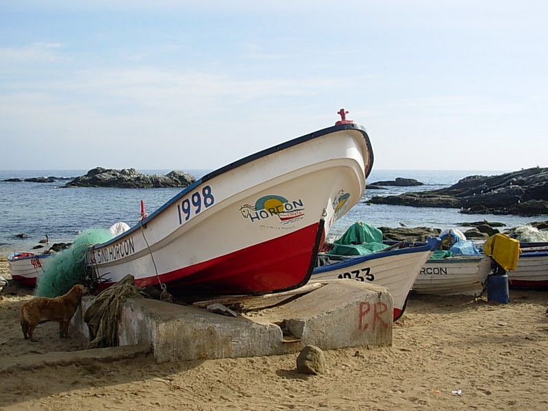 Foto de Horcon, Chile