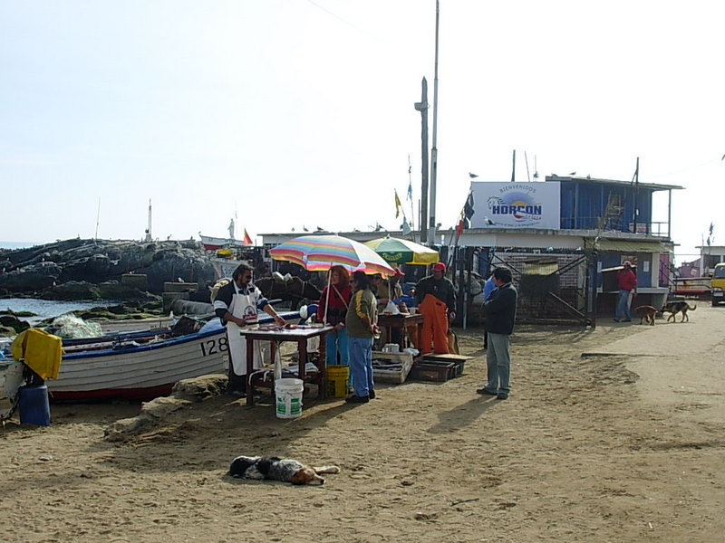 Foto de Horcon, Chile