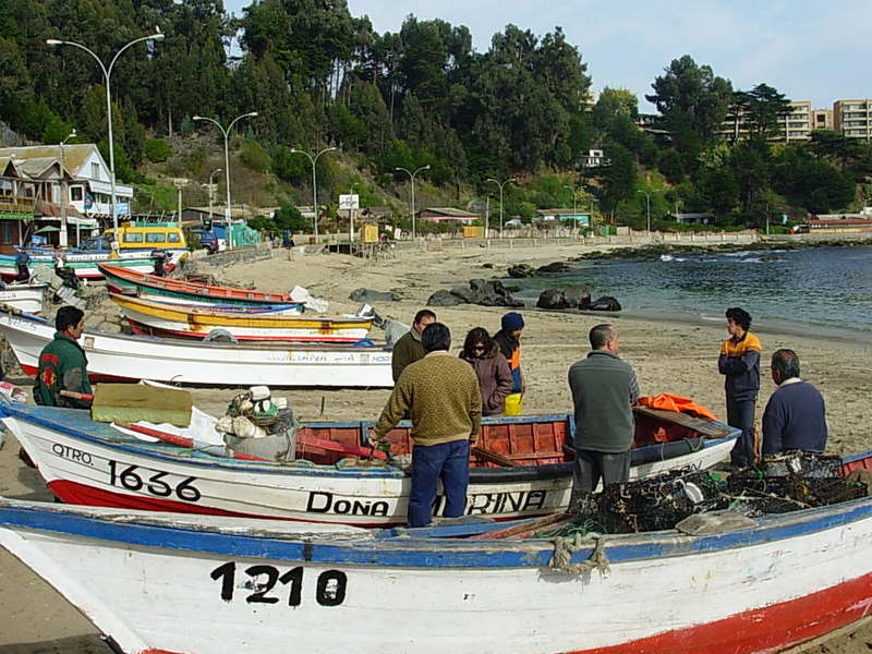 Foto de Horcon, Chile