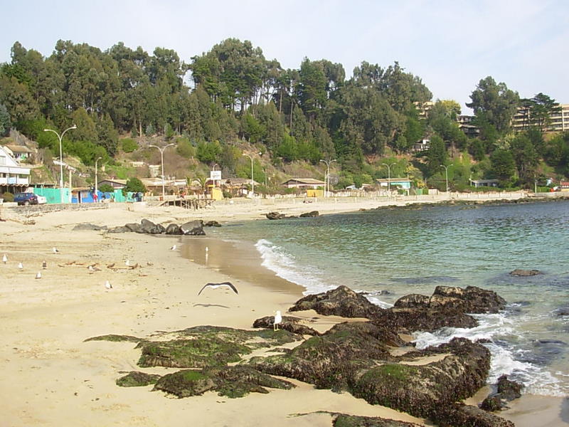 Foto de Horcon, Chile