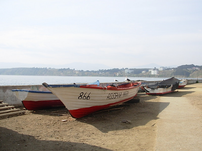 Foto de Horcon, Chile