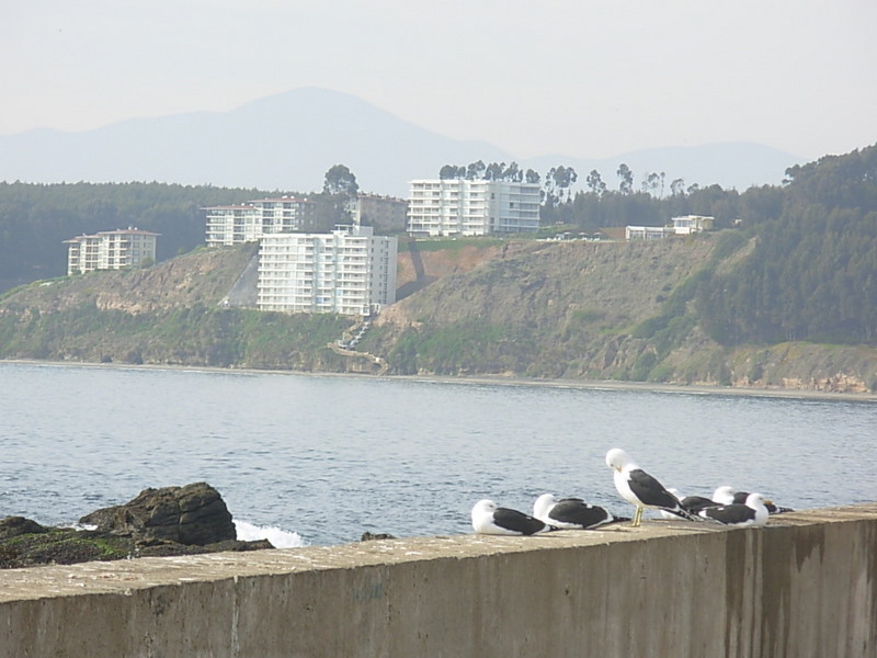 Foto de Horcon, Chile