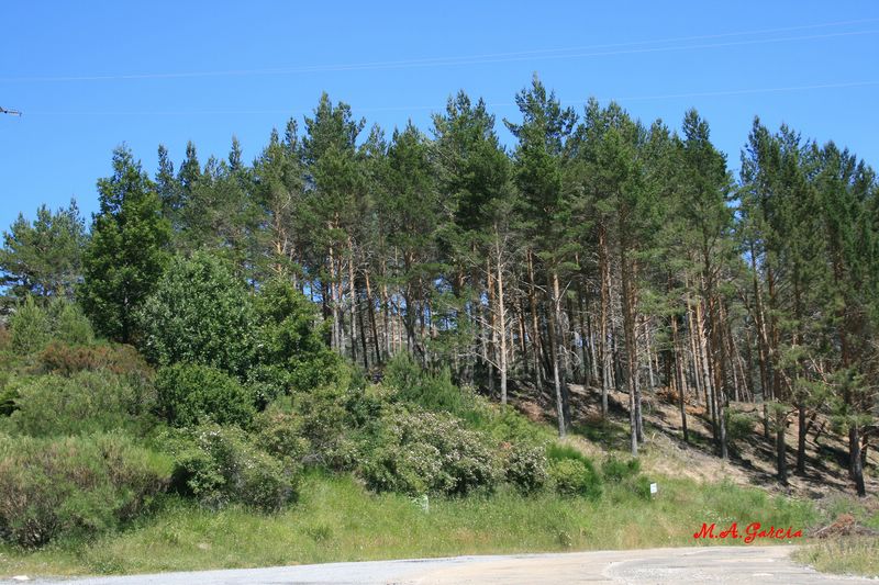 Foto de Velilla del Río Carrión (Palencia), España