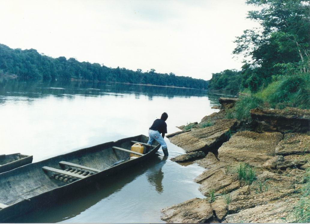 Foto de Pacoa - Amazonas, Colombia