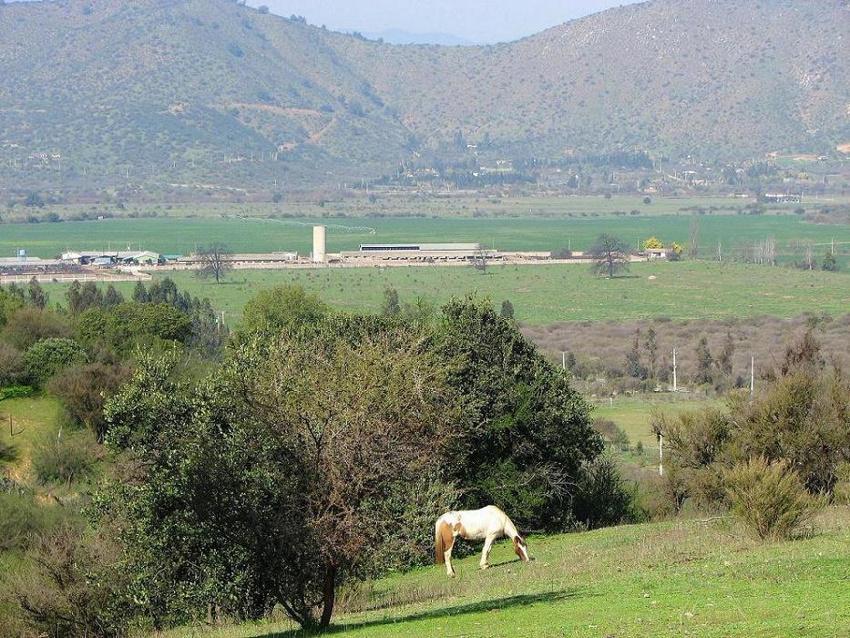 Foto de Curacaví, Chile