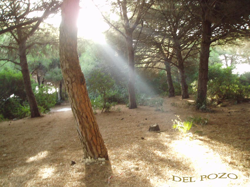 Foto de Puerto Real (Cádiz), España