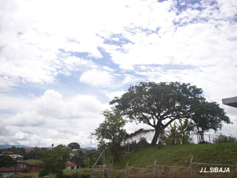 Foto de Alajuela, Costa Rica