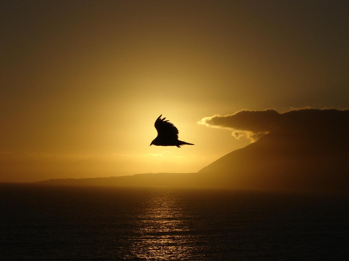 Foto de Antofagasta, Chile