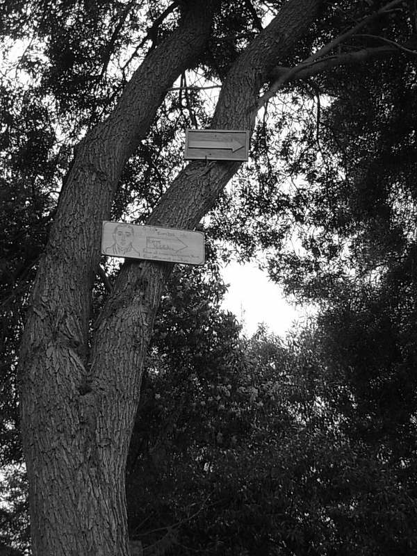 Foto de Cartagena, Chile