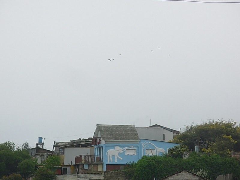 Foto de Cartagena, Chile