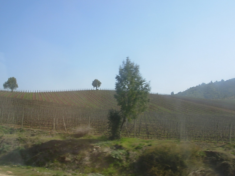 Foto de Casa Blanca, Chile