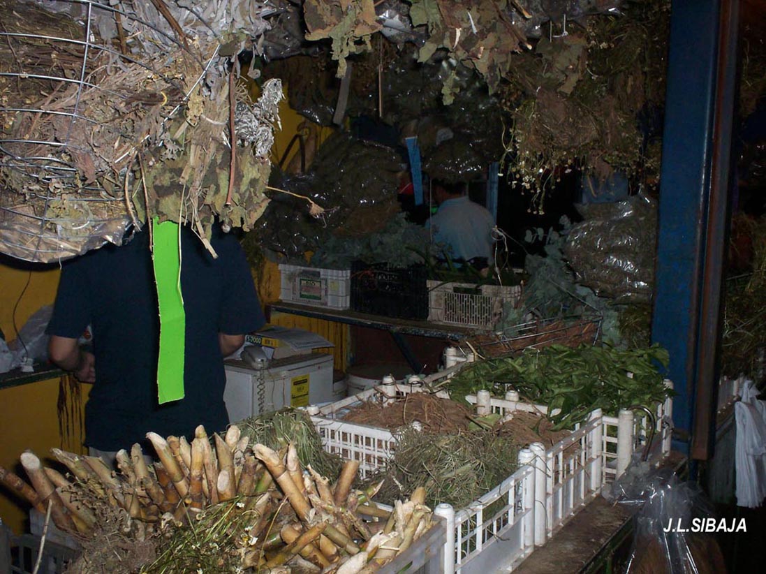 Foto de Alajuela, Costa Rica