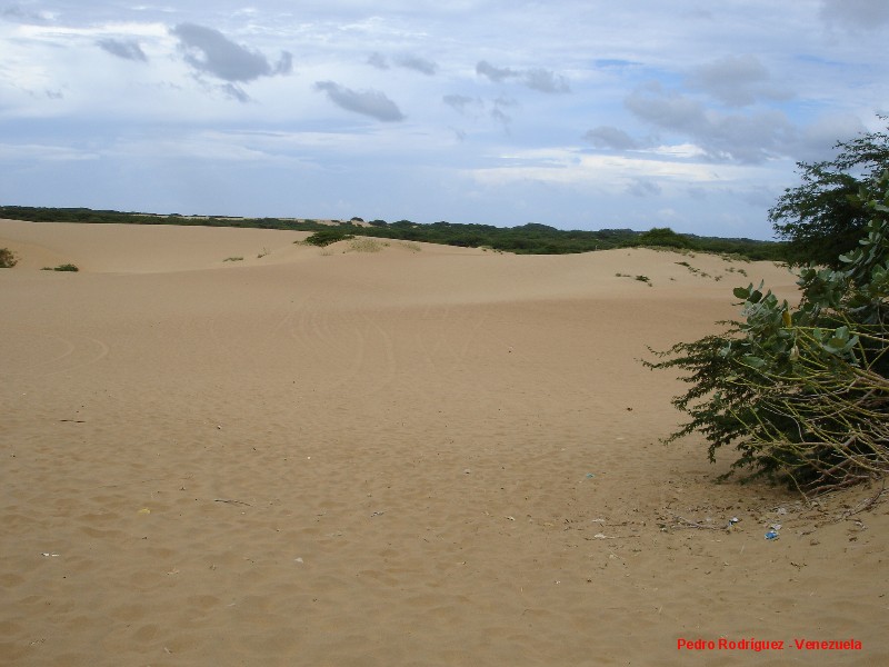 Foto de Médanos de Coro - Edo Falcon, Venezuela