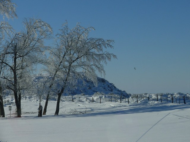 Foto de Valle de Uco (Mendoza), Argentina