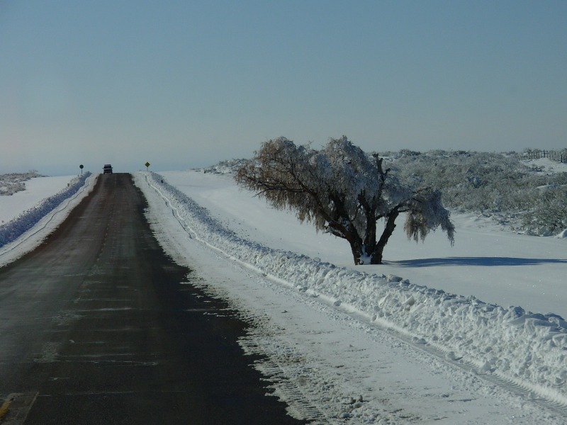 Foto de Valle de Uco (Mendoza), Argentina