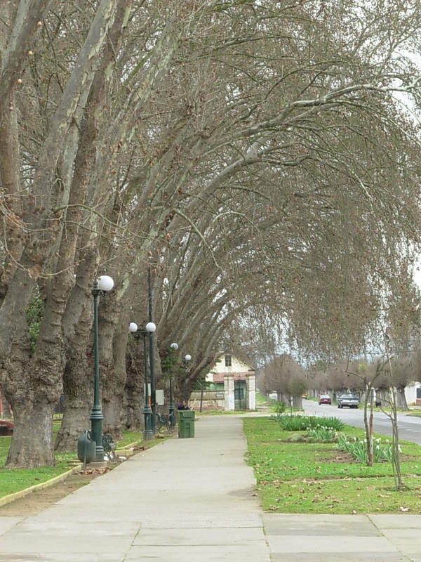 Foto de Limache, Chile