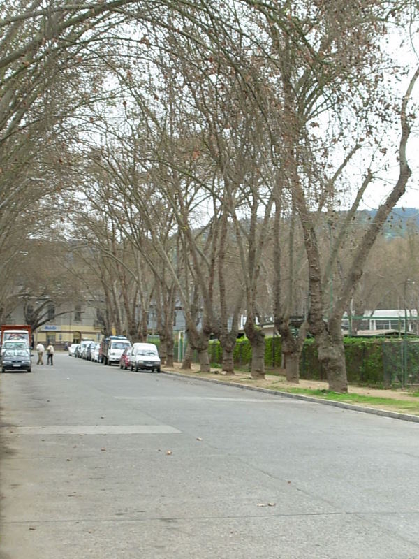 Foto de Limache, Chile