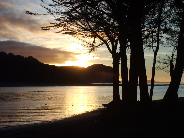 Foto de Isla Amortajado, Chile