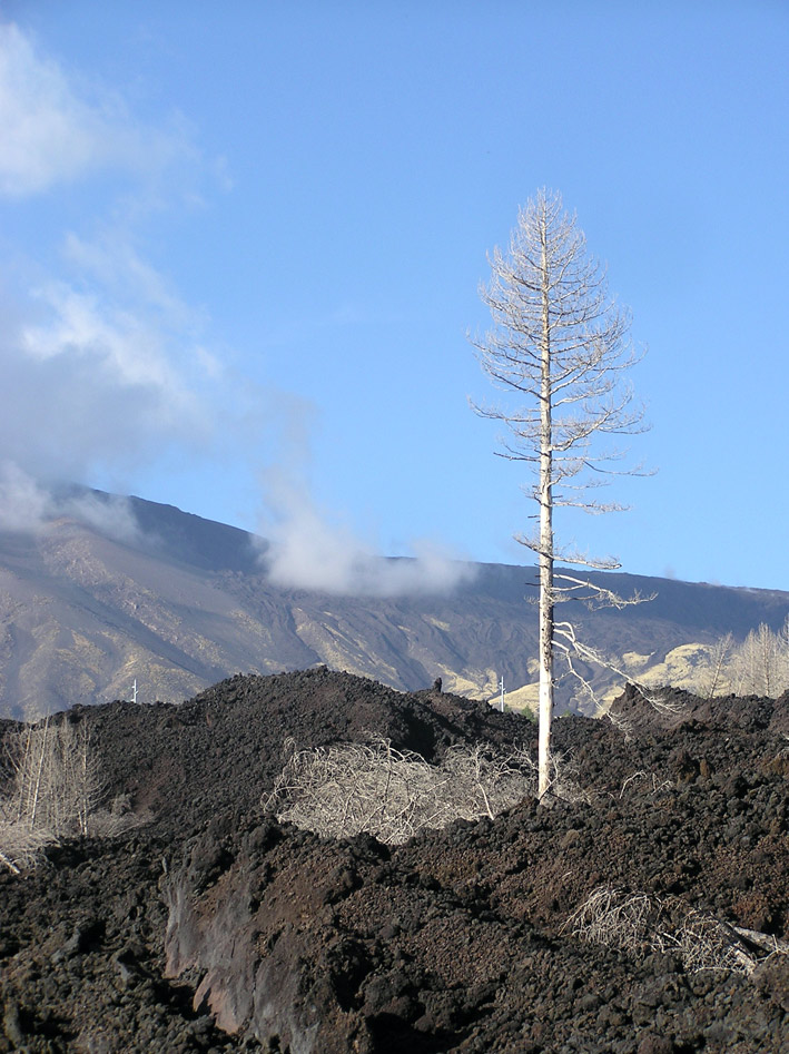 Foto de Monte Etna, Italia