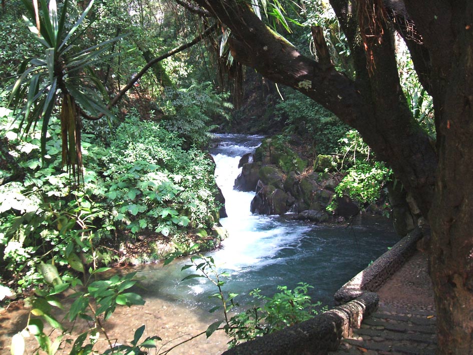 Foto de Uruapan, Michoacán, México