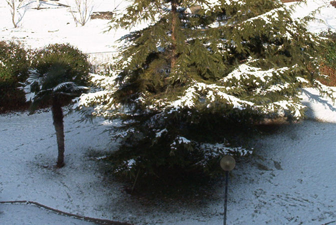 Foto de Valladolid (Castilla y León), España