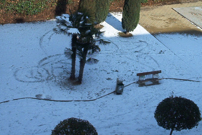 Foto de Valladolid (Castilla y León), España