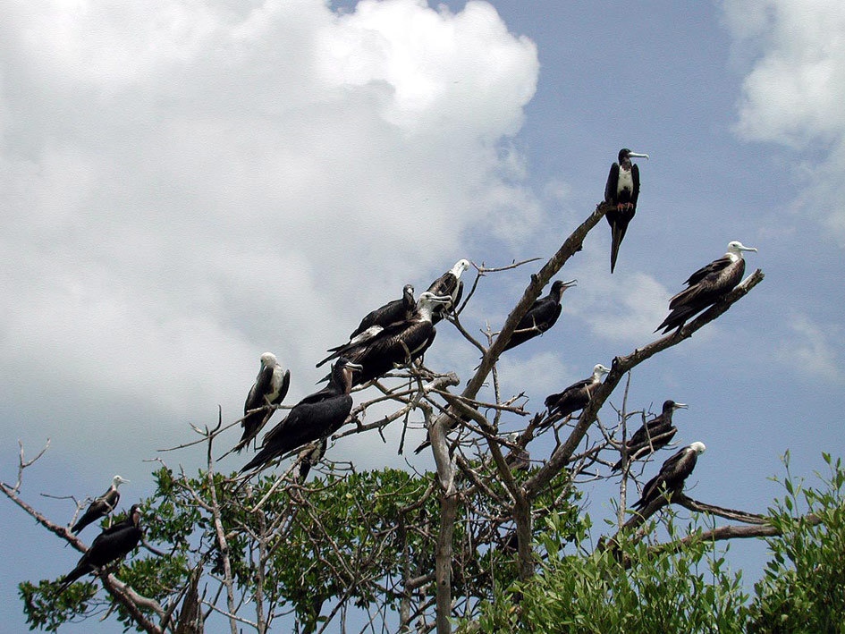 Foto de Celestún, México