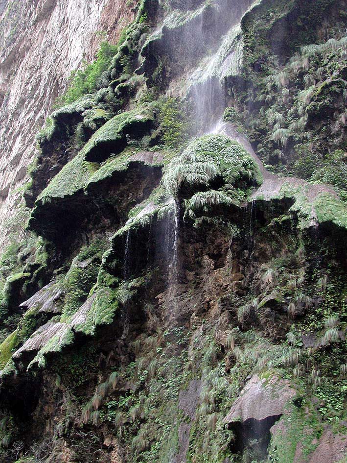 Foto de Tuxtla Gutierrez, México