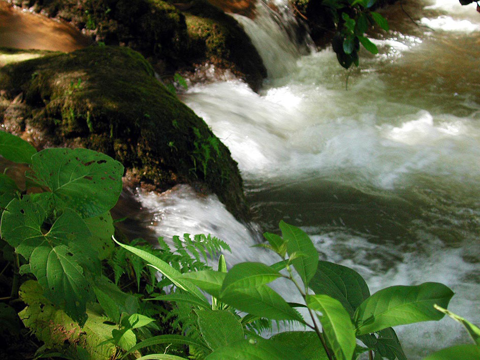 Foto de Agua Azul, México