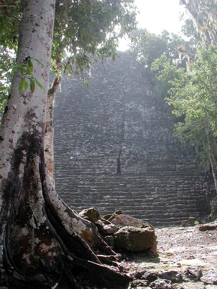 Foto de Cobá, Quintana Roo, México