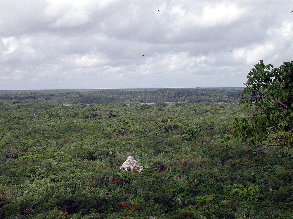 Foto de Cobá, Quintana Roo, México
