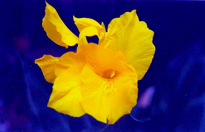 Foto de A Coruña (Galicia), España