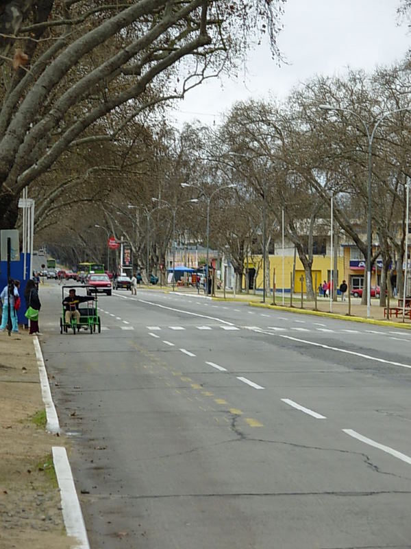Foto de Limache, Chile