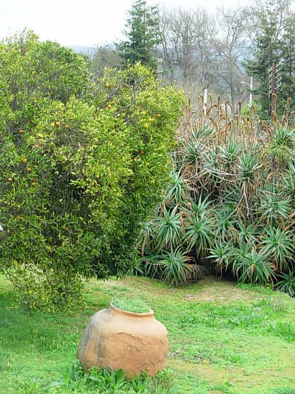 Foto de Limache, Chile