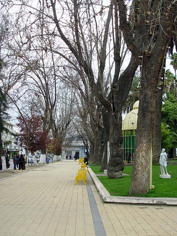Foto de Quilota, Chile