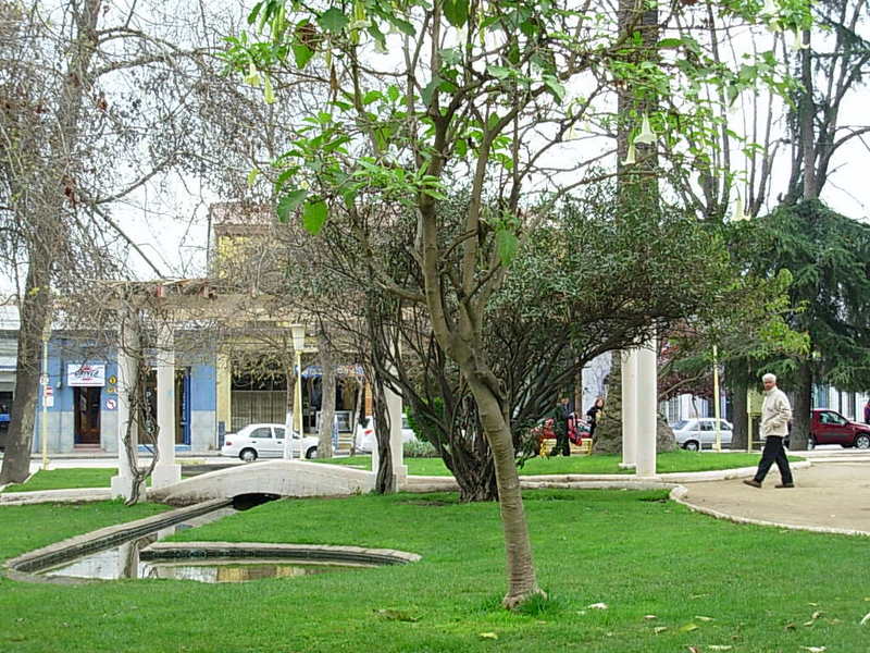 Foto de Quilota, Chile