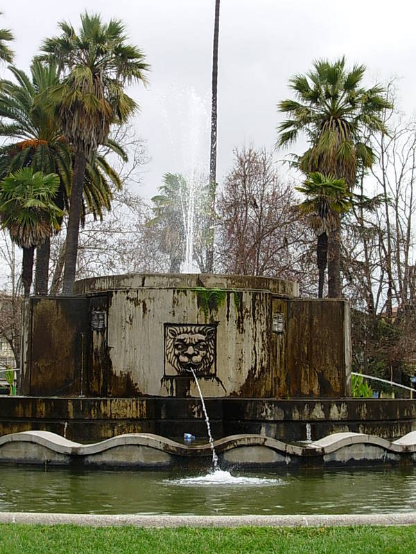 Foto de Quilota, Chile