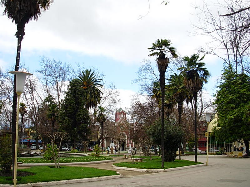 Foto de Quilota, Chile