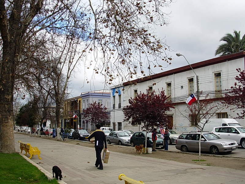 Foto de Quilota, Chile