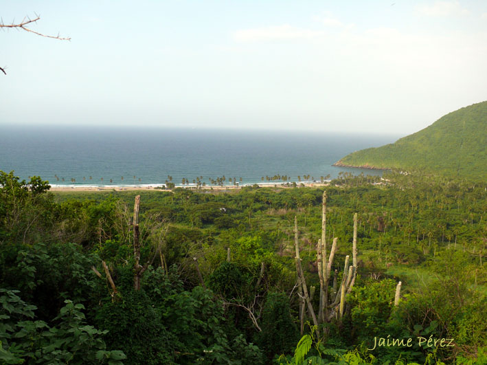 Foto de Cuyagua (Ocumare de la Costa), Venezuela