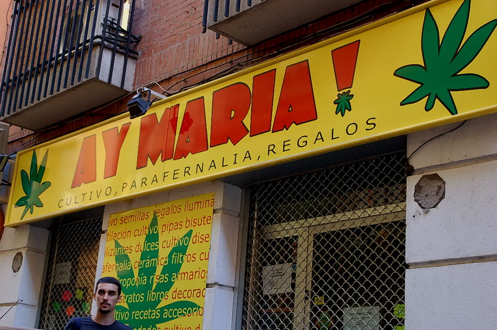 Foto de Madrid (Comunidad de Madrid), España