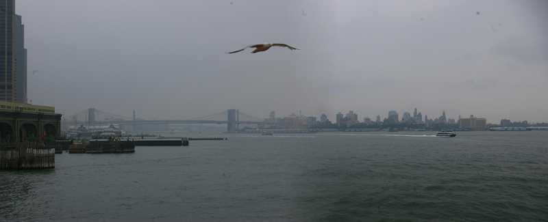 Foto de New York, Estados Unidos